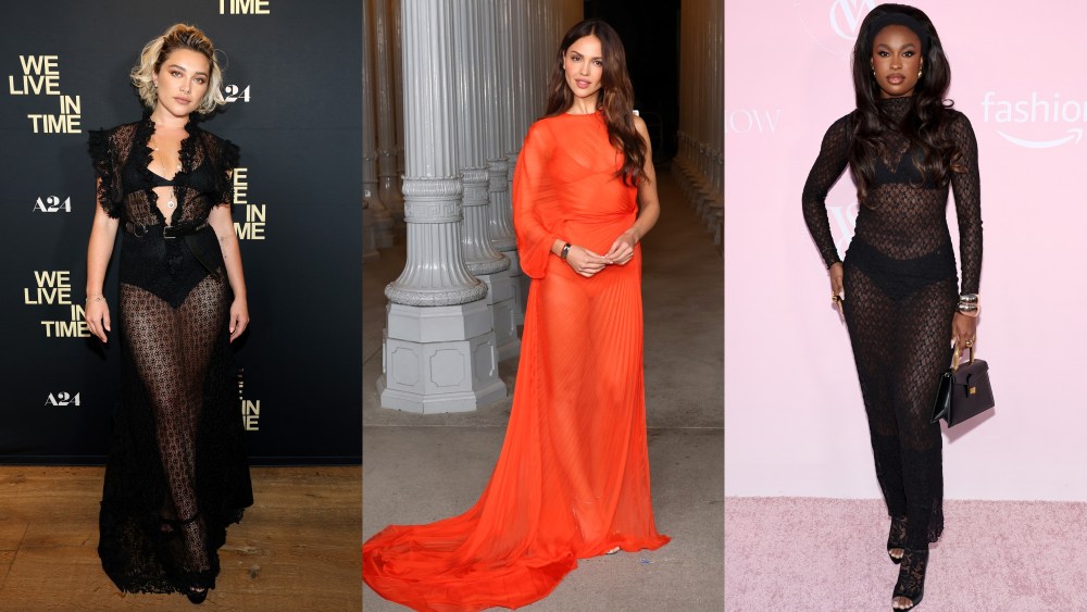 Unveiled! Celebrities in Sheer Outfits You Wont Believe