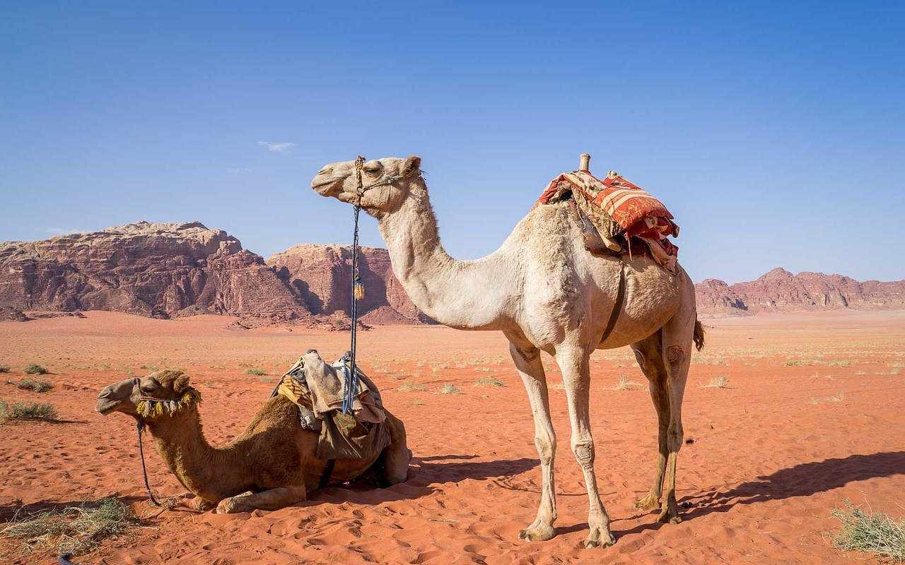Jordan Italy Trip: How to Plan the Perfect Vacation.