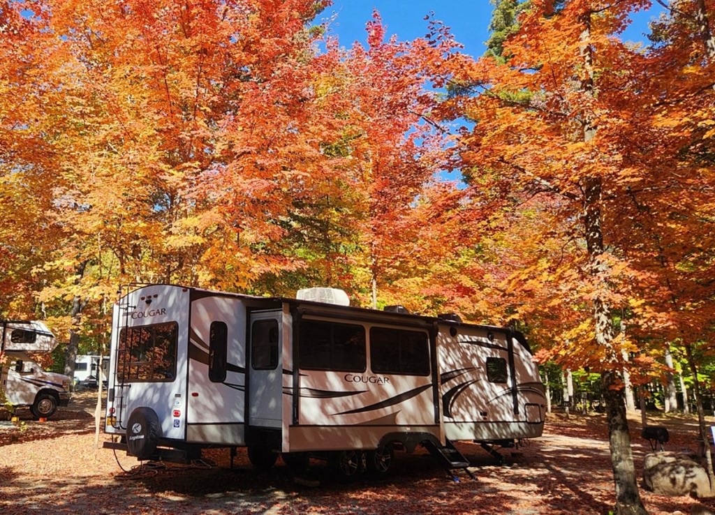 Experience Koa Autumn Colors: A Guide to Leaf Peeping