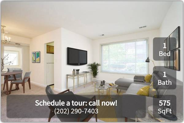 Apartment 202 Tour: See Your Future Home Today