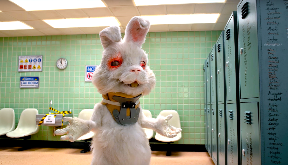 What is the Policy of Animal Experimentation in Mexico? Learn the Current Rules Now!