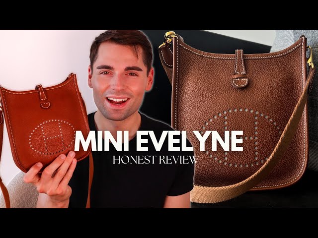 Evelyne TPM: Is it worth the hype? Everything you need to know before buying this popular bag.