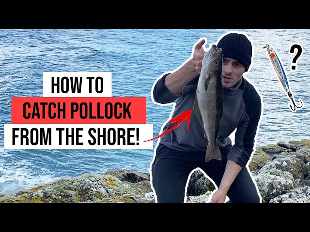 gm pollack for beginners: Learn the basics of gm pollack in this easy guide.