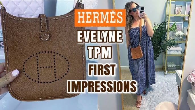 Evelyne TPM: Is it worth the hype? Everything you need to know before buying this popular bag.