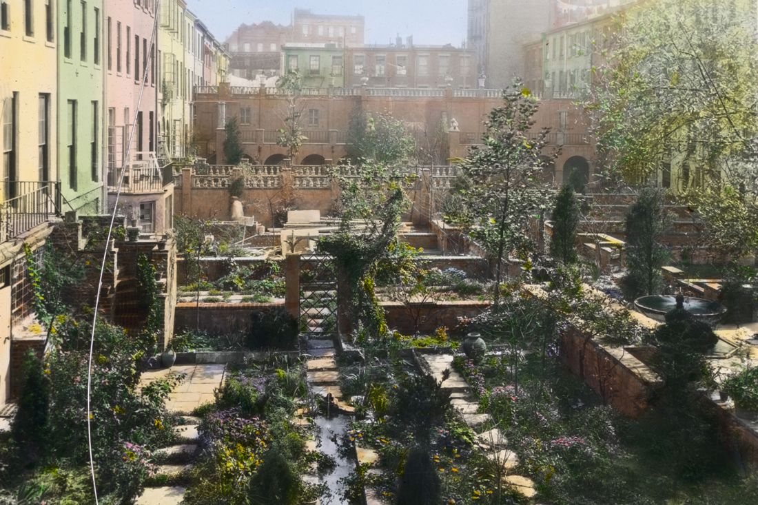 Turtle Bay Gardens NYC: How to Explore This Hidden Oasis Like a Pro
