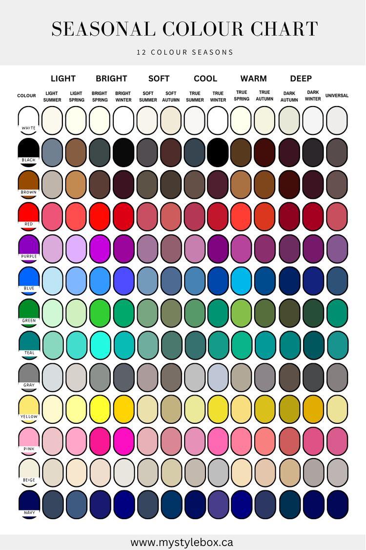 Colorful Styles for Every Season A Simple Guide to Vibrant Looks All Year Round
